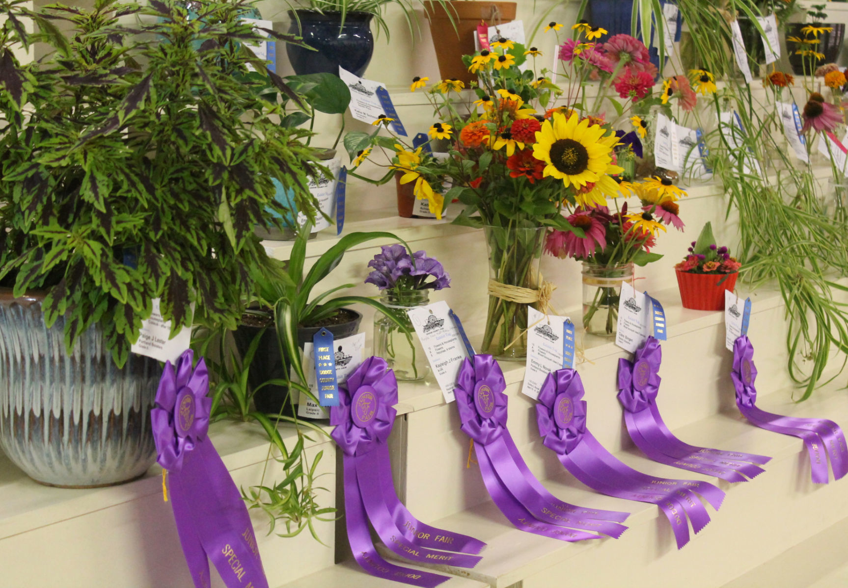 DC Fair Wednesday 012.JPG